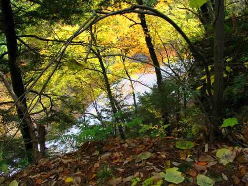 Upper Buttermilk Falls