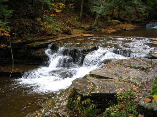 Cascade Top