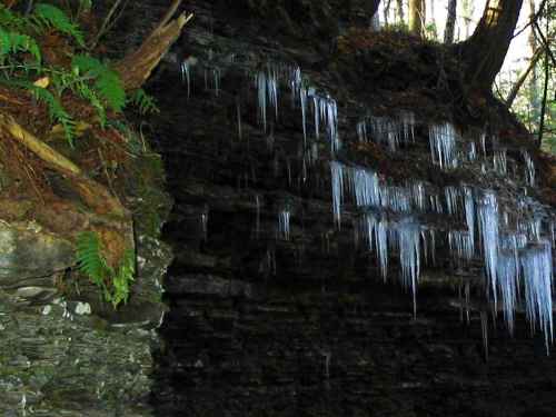 Icicles