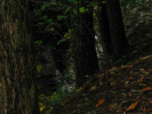 Buttermilk Falls - Inner Gorge 1