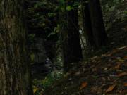 Inner Gorge