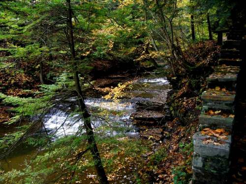 Little Falls