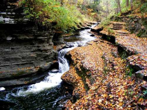 U-Narrows