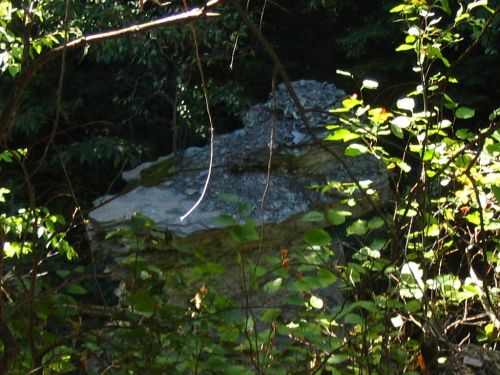 Pinnacle from the Rim Trail