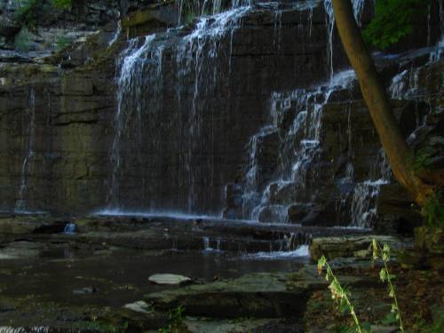 Cascadilla Falls - Summer