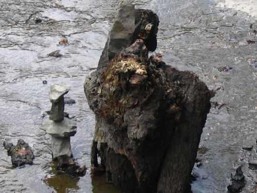 Cairns