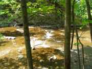 Lower Bend (Spring)