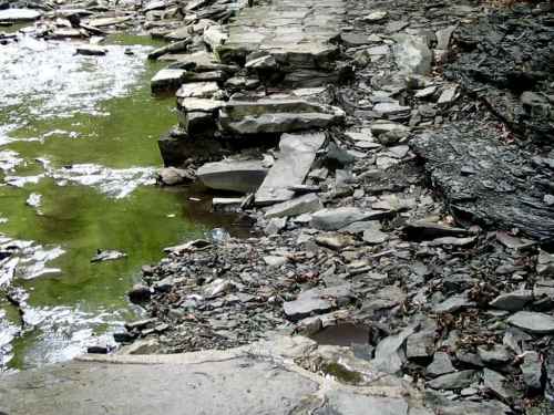 Trail Damage