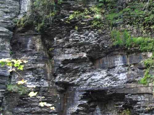 Gorge Wall