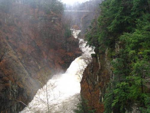 Looking up from Stewart - Suspension Bridge