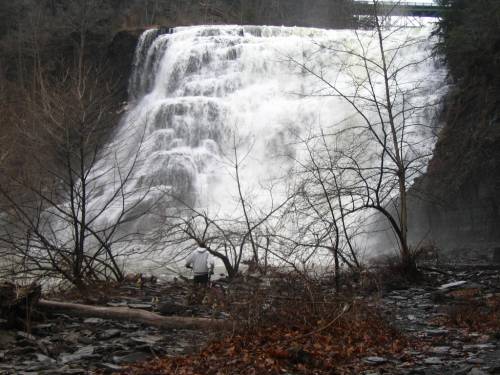 Ithaca Falls