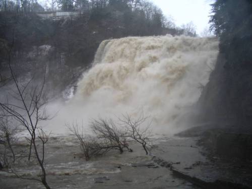 Ithaca Falls 28 - Higher water