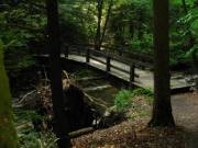 Bridge 1