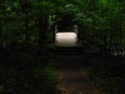 Bridge 2