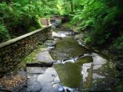 Up From Bridge 5