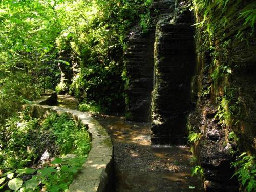 Gorge Trail