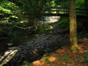 Bridge 8 from Shelter