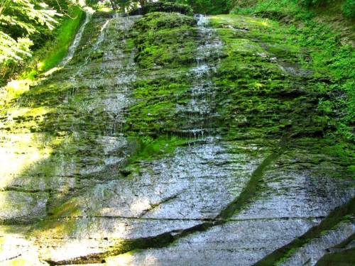 Lick Brook Lower Falls 12 (Spring)