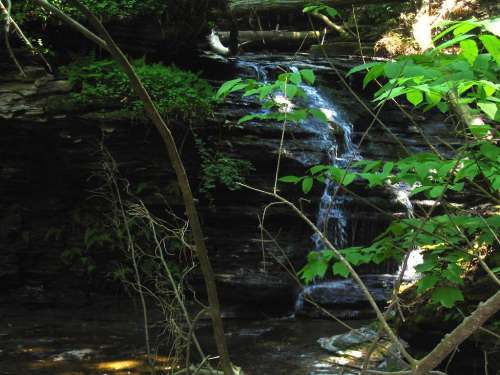 Upper Stream