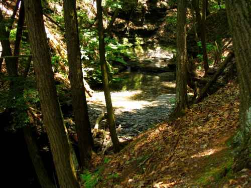 Upper Stream
