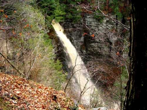 Upper Falls - High Water