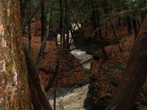Upper Stream