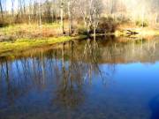 Pond 4