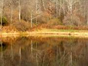 Pond 3