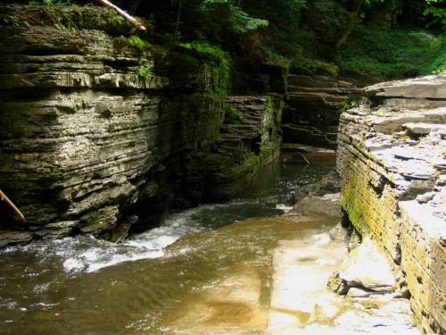 Gorge Above Potter's Falls