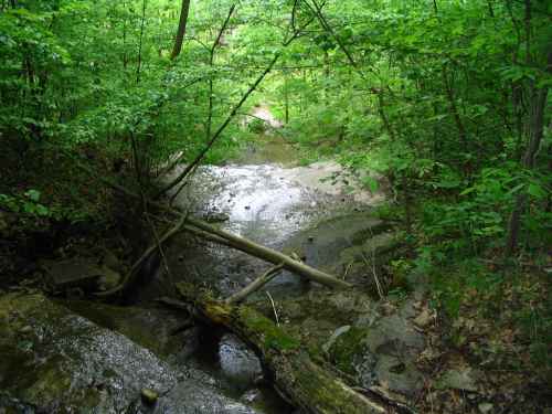 Hidden Cascade