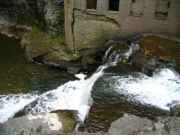 Van Natta  Dam 9