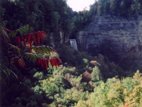 Taughannock Falls from the South Rim Trail 1