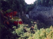 From South Rim Trail 1