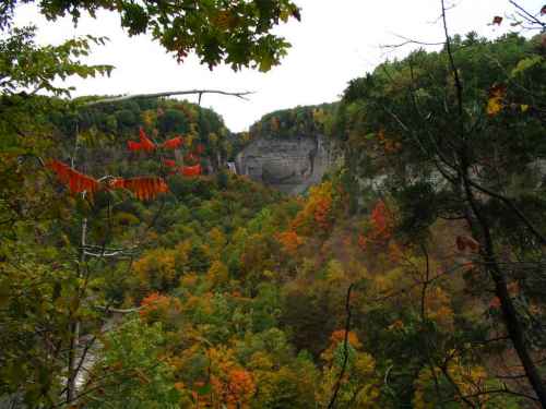 Taughannock Falls from the South Rim Trail 4