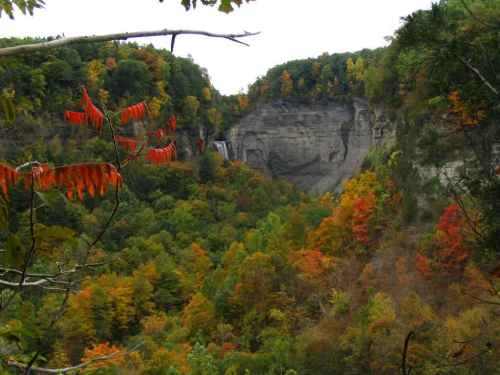 Taughannock Falls from the South Rim Trail 5