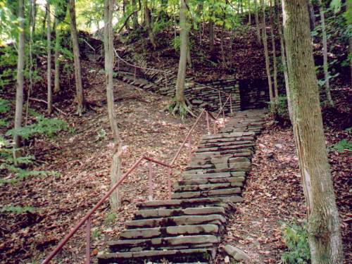 Steps Up to the North Rim Trail