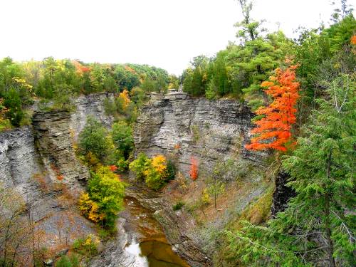 Taughannock Falls - Upper Gorge 18