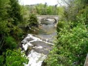 Upper Falls, Upper Part (Spring)