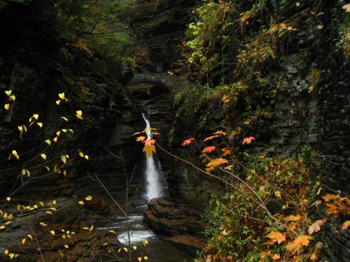 Central Cascade 3