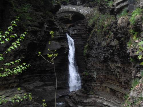 Central Cascade 7