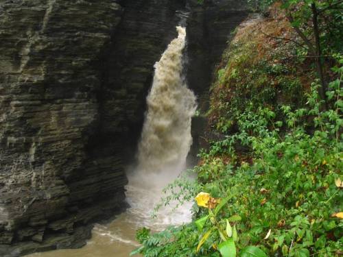 Entrance Falls