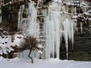Icicles 14