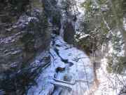 From Central Cascade Lookout