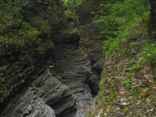 View Down to Sentry Bridge