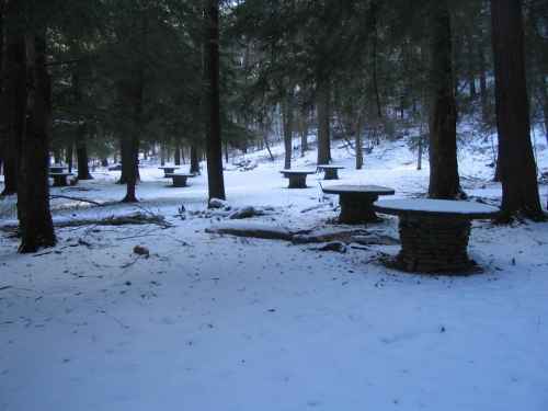Picnic Tables