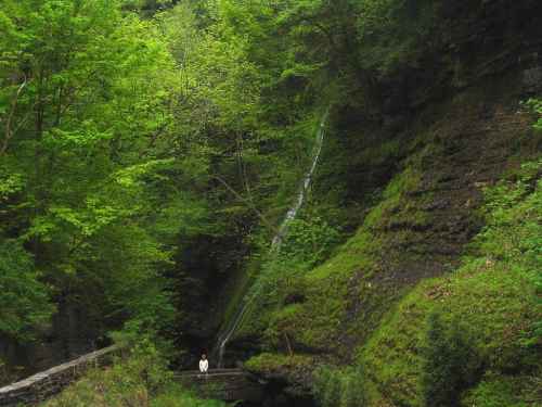 Rainbow Falls 19