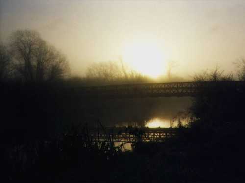 Mercer Slough Bridge 24