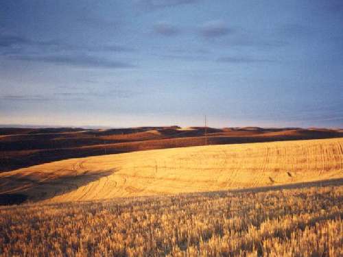 Palouse