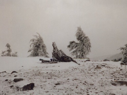 West Tiger 3 Summit With Snow
