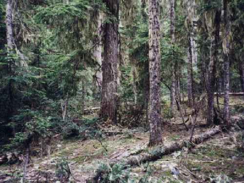 White River Trailhead
